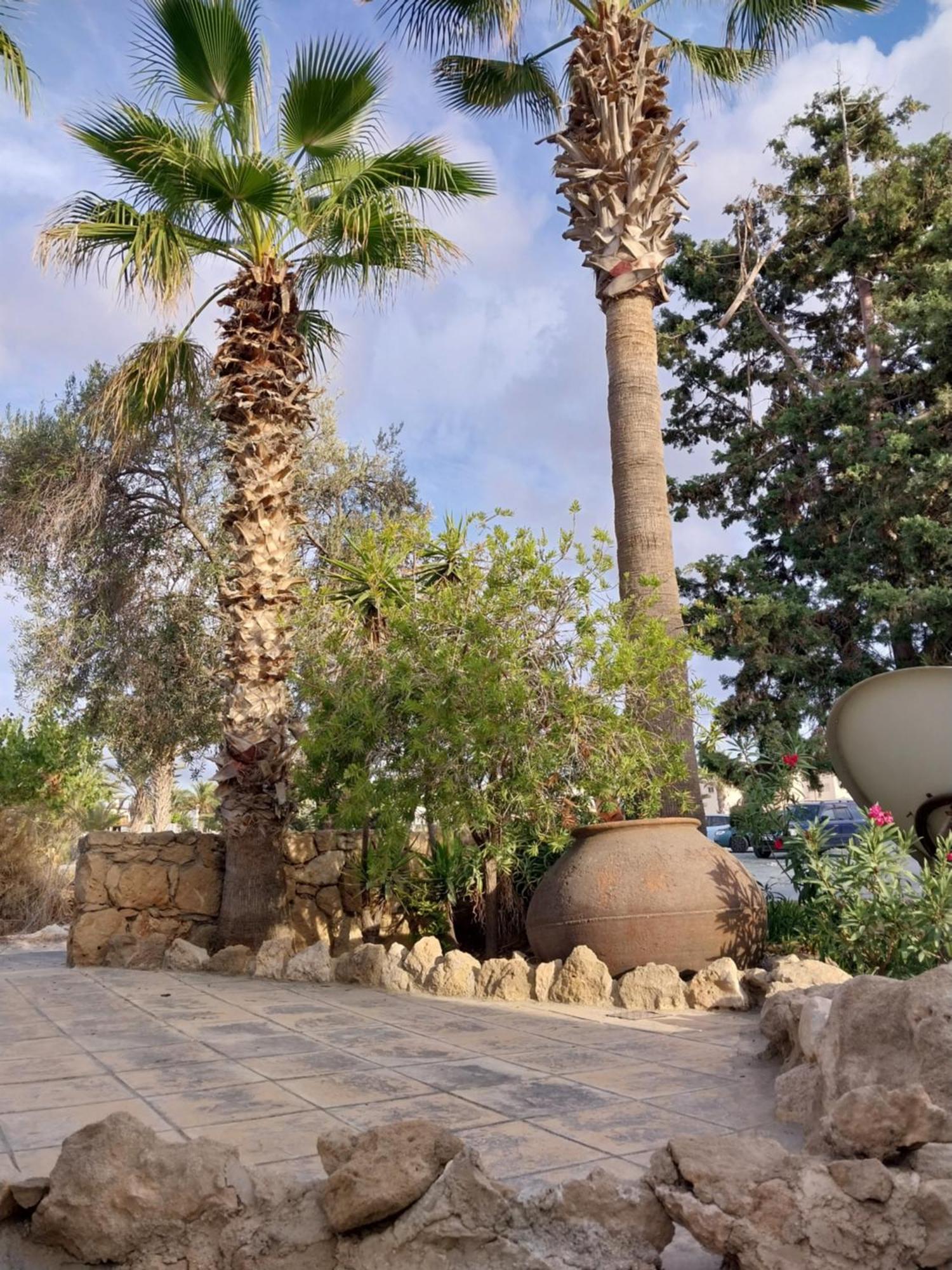 Villa Margo By The Sea Paphos Exterior photo