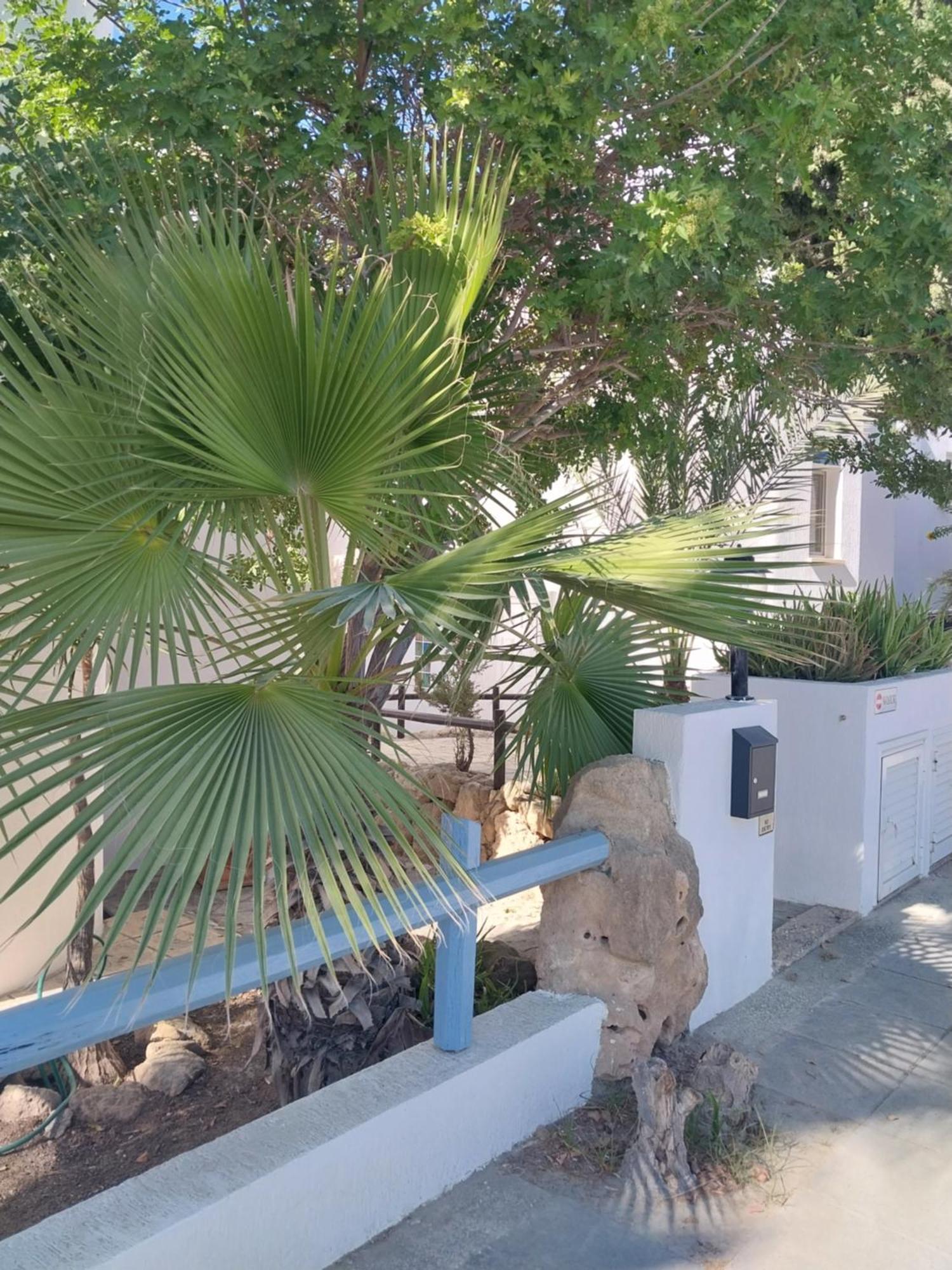 Villa Margo By The Sea Paphos Exterior photo