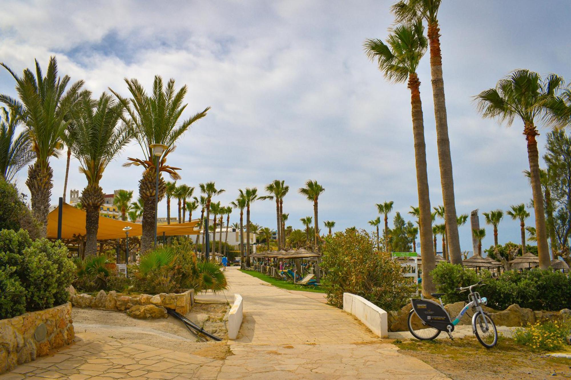 Villa Margo By The Sea Paphos Exterior photo
